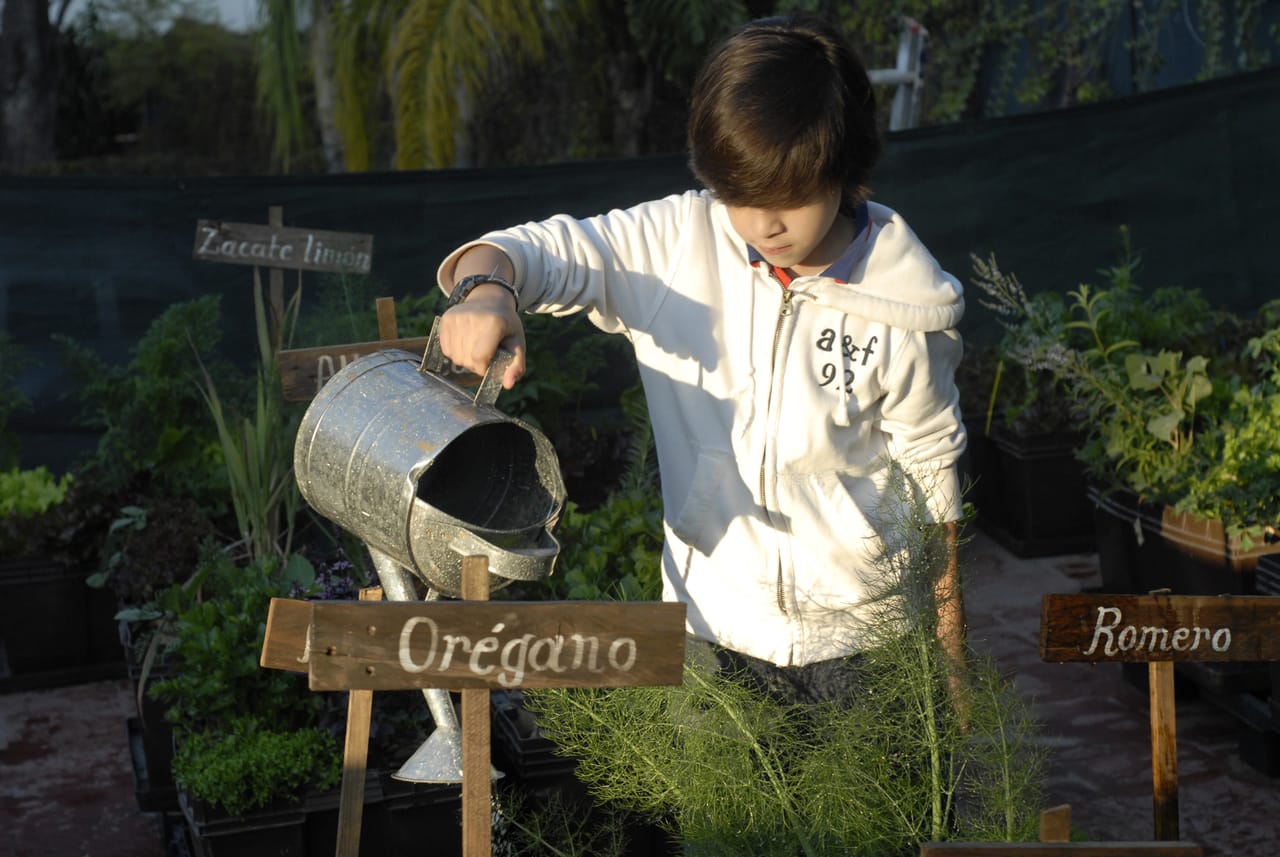 Niño riega plantas del huerto escolar con una regadera metálica