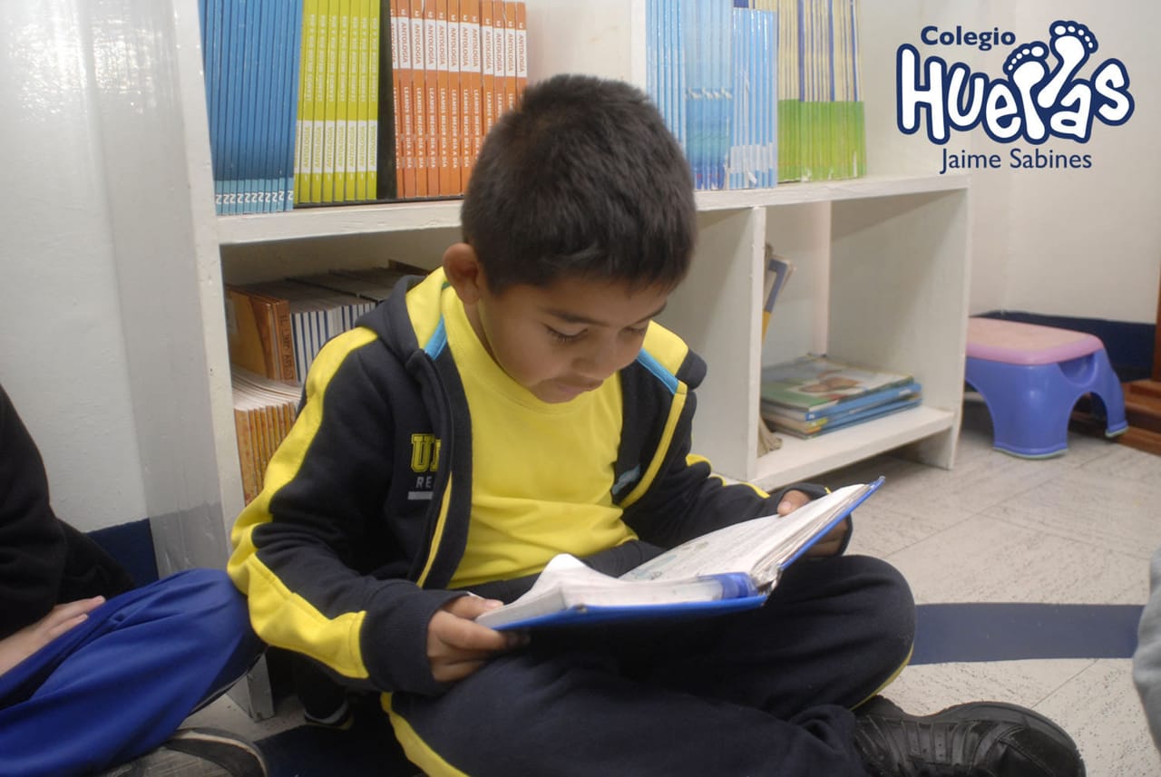 Niño lee un libro sentado junto a los estantes de la biblioteca